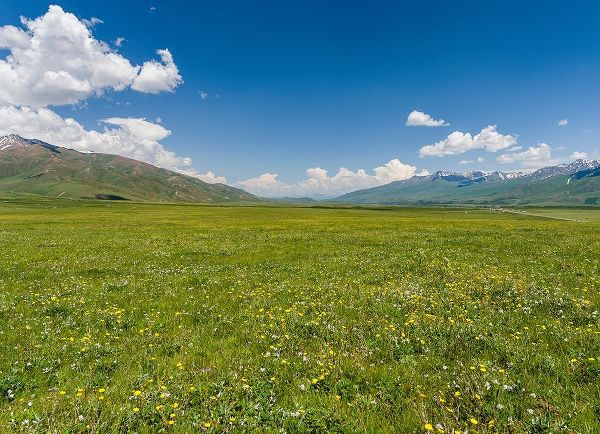 The Suusamyr plain-a high valley in Tien Shan Mountains-Kyrgyzstan